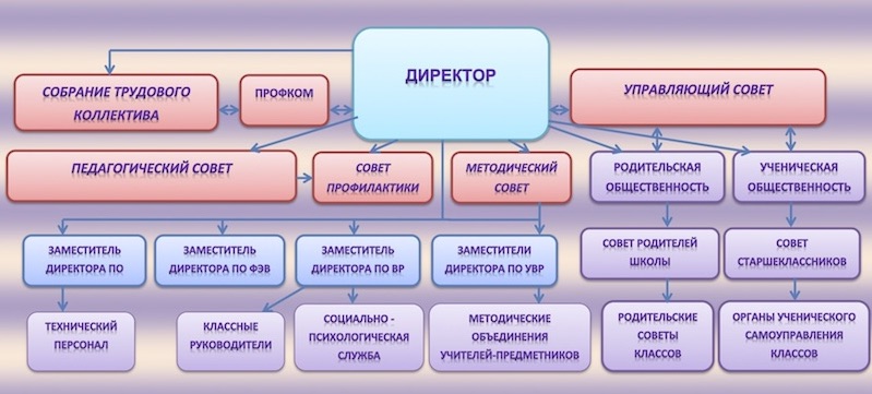 Структура и органы управления гимназии №11